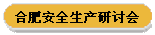 合肥安全生产研讨会