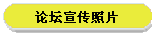 论坛宣传照片